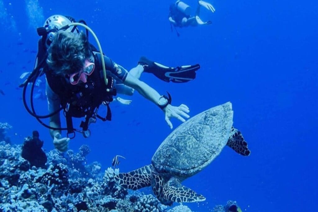 Plongée sous-marine en Nouvelle-Calédonie